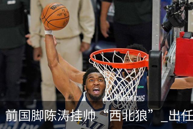 前国脚陈涛挂帅“西北狼” 出任陕西联合一线队主教练